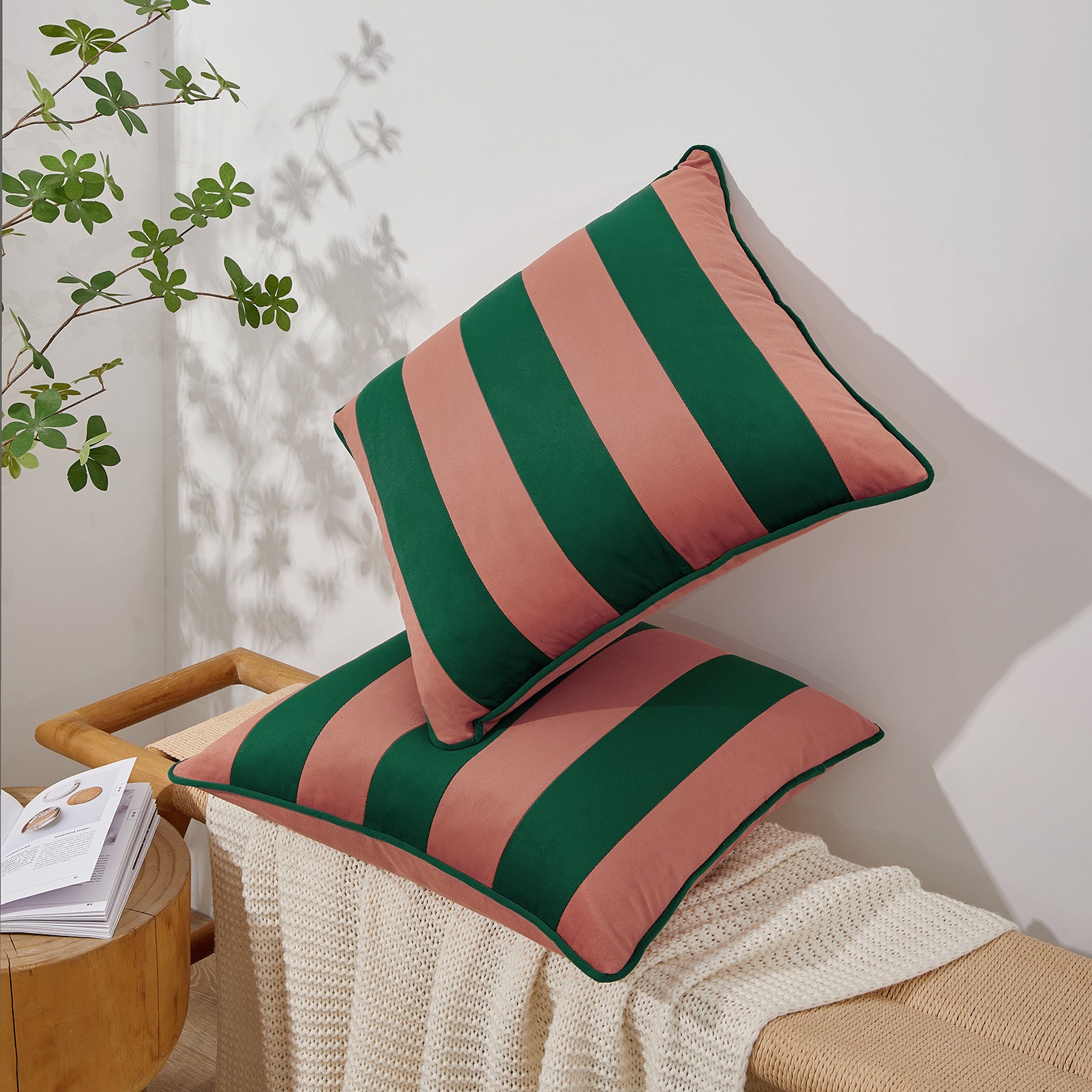 Striped pink and green cushions on a chair with a plant in the background