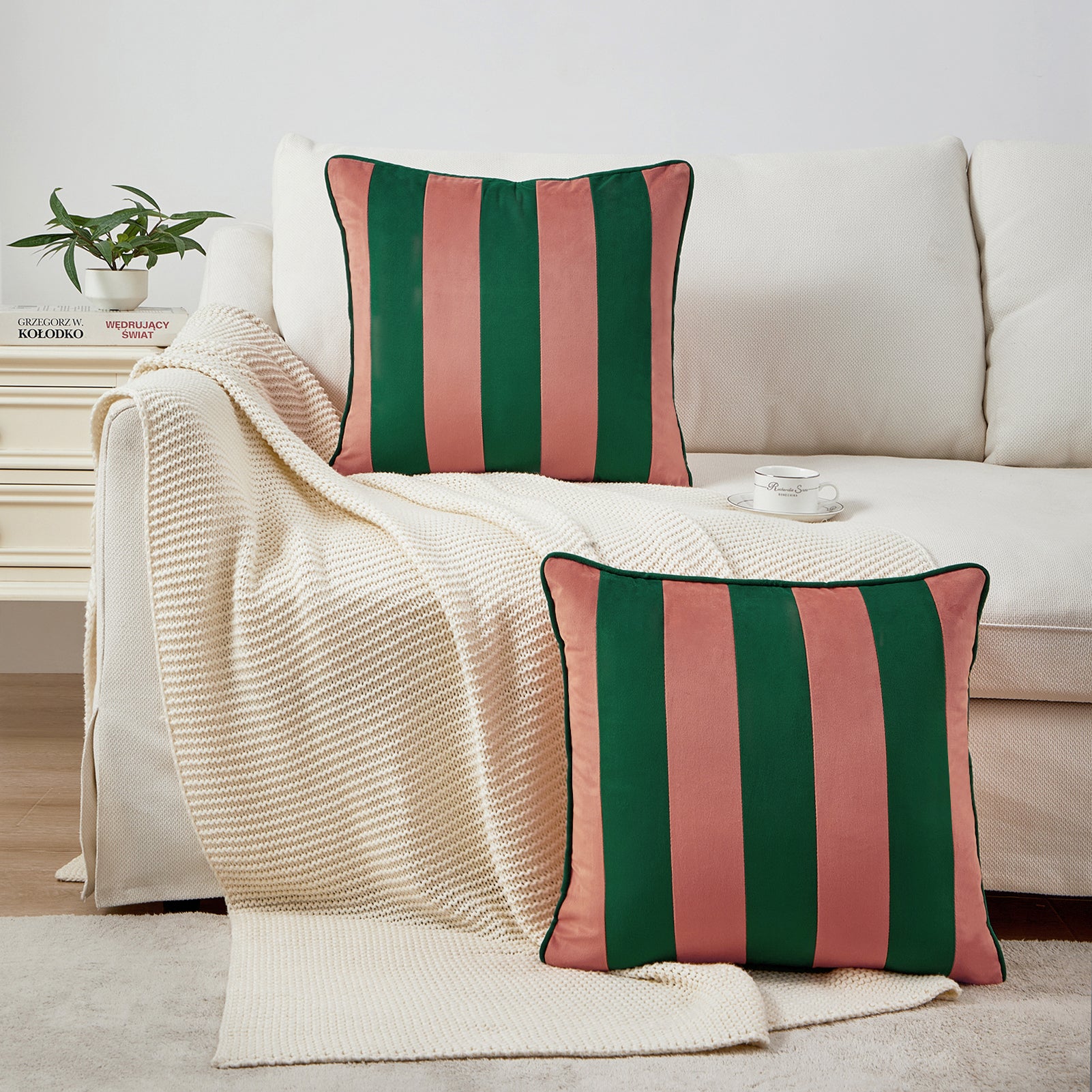 Two striped pillows on a beige sofa with a blanket and small plant in the background.